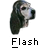 Free Flash AIM Icon!